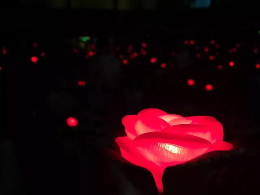 1473155144113921.jpg 62768478302134217_副本.jpg